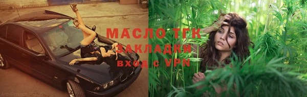 СК Ельня