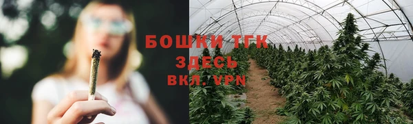 MESCALINE Елизово