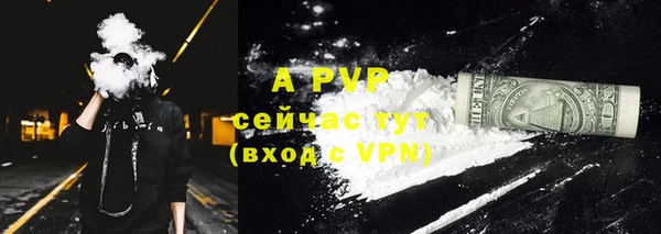 сатива Елабуга
