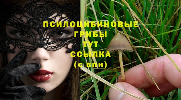 MESCALINE Елизово