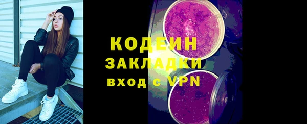СК Ельня