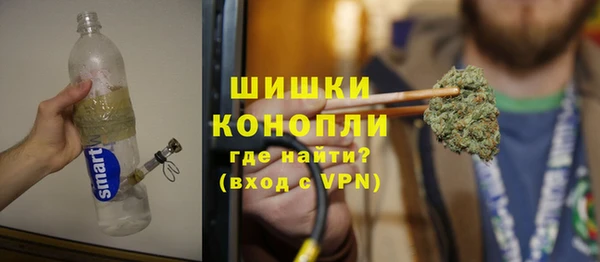 СК Ельня