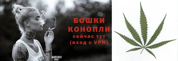 СК Ельня