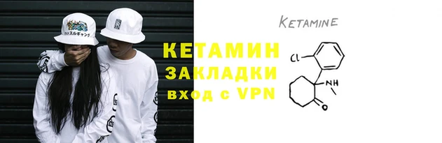СК Ельня