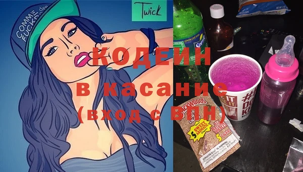 сатива Елабуга