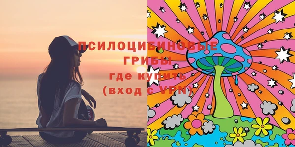 сатива Елабуга