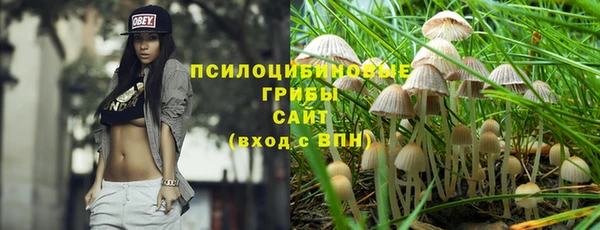 MESCALINE Елизово