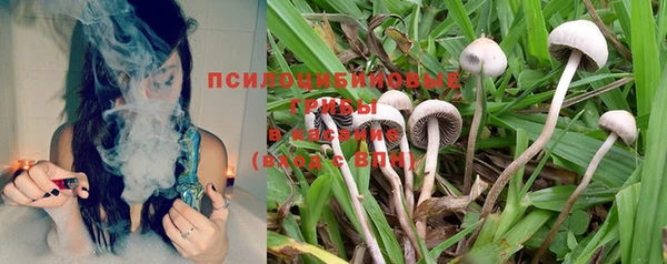 MESCALINE Елизово