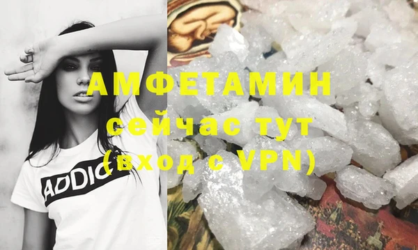 сатива Елабуга