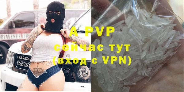 сатива Елабуга