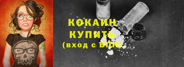 СК Ельня