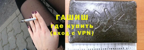 СК Ельня