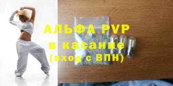 СК Ельня