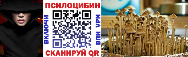 Псилоцибиновые грибы прущие грибы  Купить закладки  Киренск 